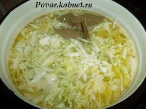 капусту в борщ когда кидать капусту в борщ когда кидать