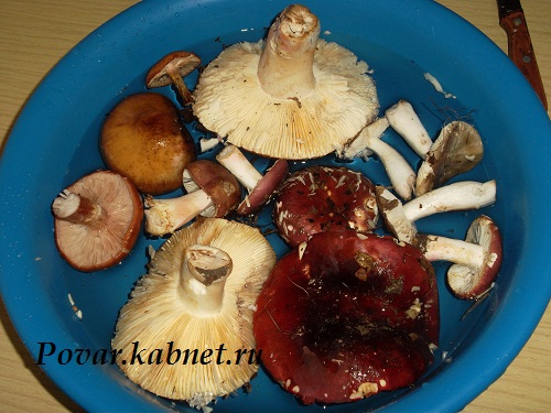 Маринованные грибы на зиму рецепт