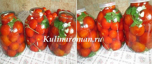 zasolka pomidorov xolodnym sposobom 2