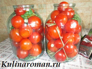 помидоры на зиму рецепт