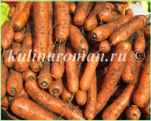 морковь и её полезные свойства