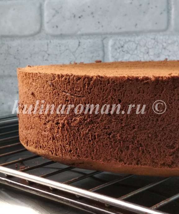 шоколадный бисквит для торта